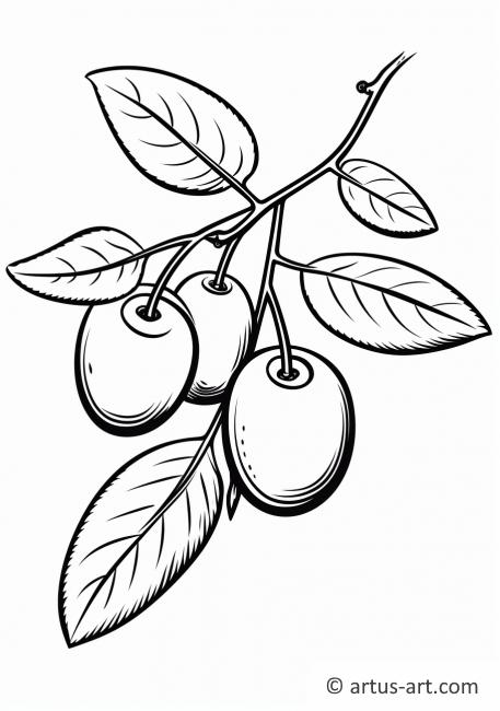 Prunusblad Kleurplaat